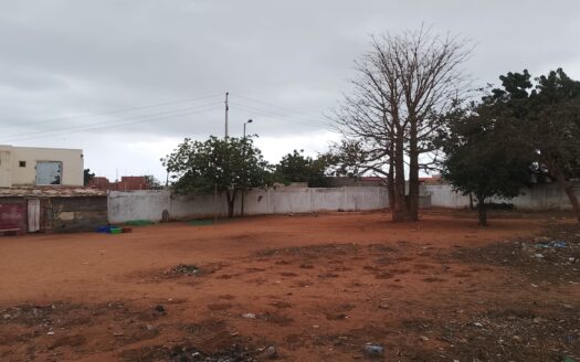 Terreno de 2 hectares – Benfica